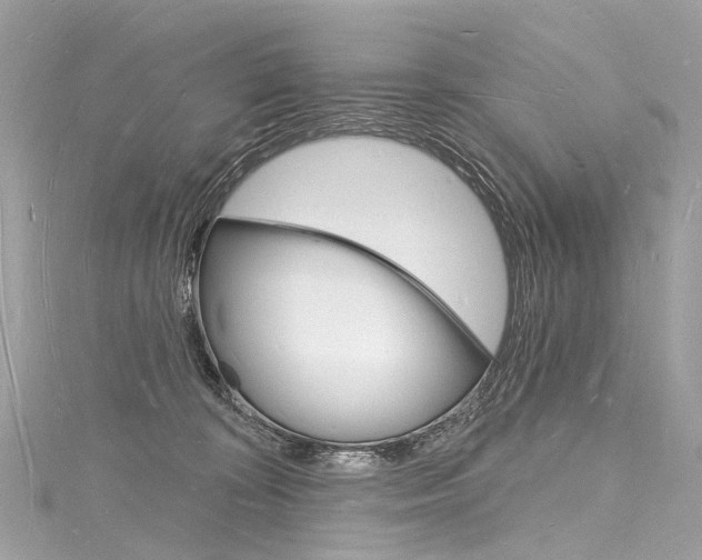 X0000116130324200911230956
