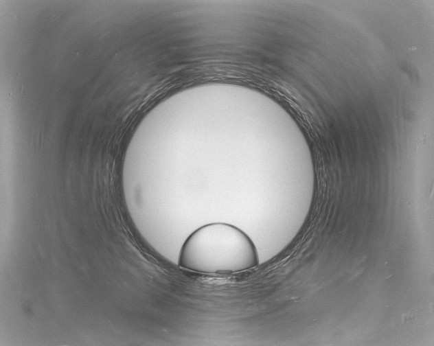 X0000116130327200911230956