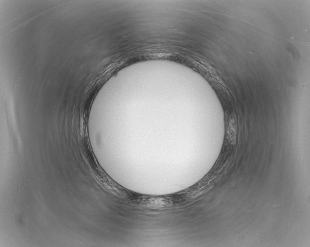 X0000116130330200911230956