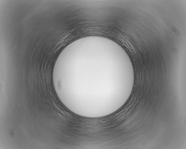 X0000116130332200911230956