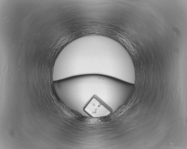 X0000116130333200911230956