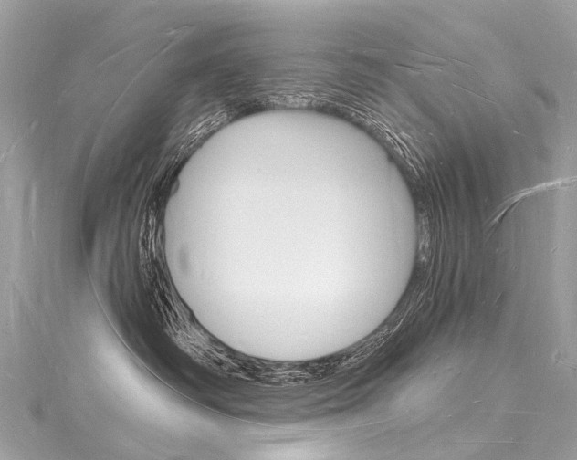 X0000116130334200911230956