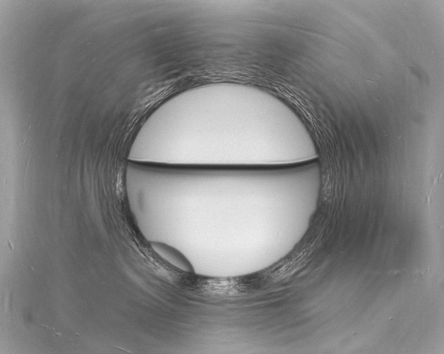 X0000116130335200911230956