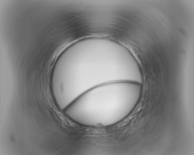 X0000116130337200911230956