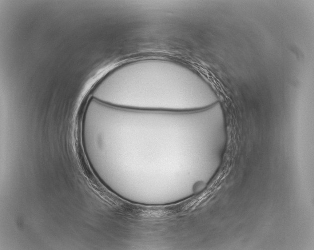 X0000116130342200911230956