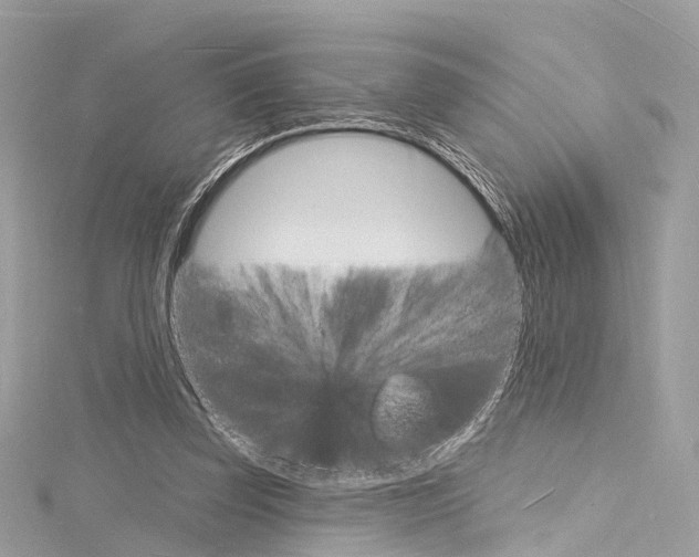 X0000116130347200911230956