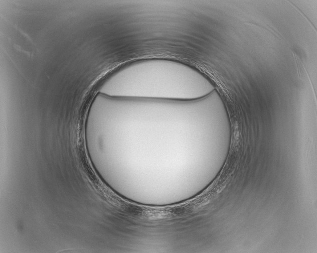 X0000116130351200911230956