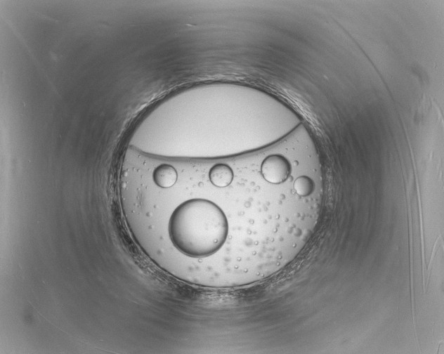 X0000116130354200911230956