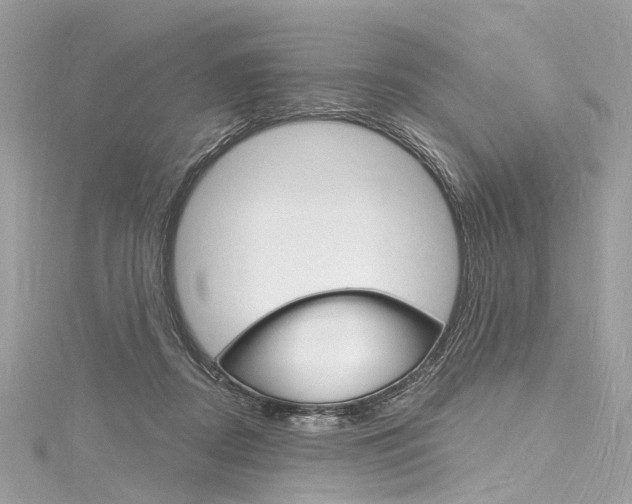 X0000116130362200911230956