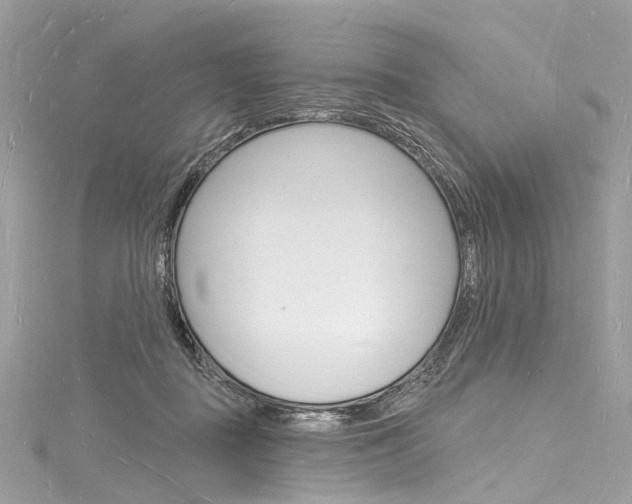X0000116130363200911230956