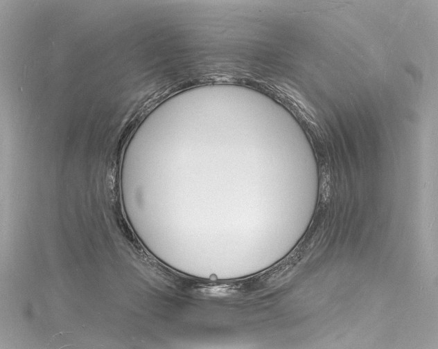 X0000116130365200911230956