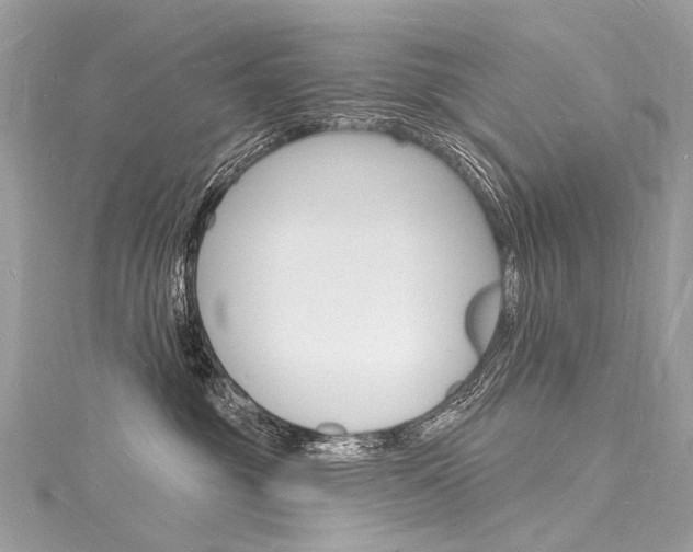 X0000116130381200911230956