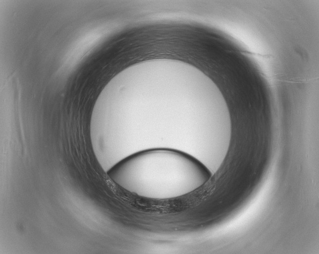 X0000116130382200911230956