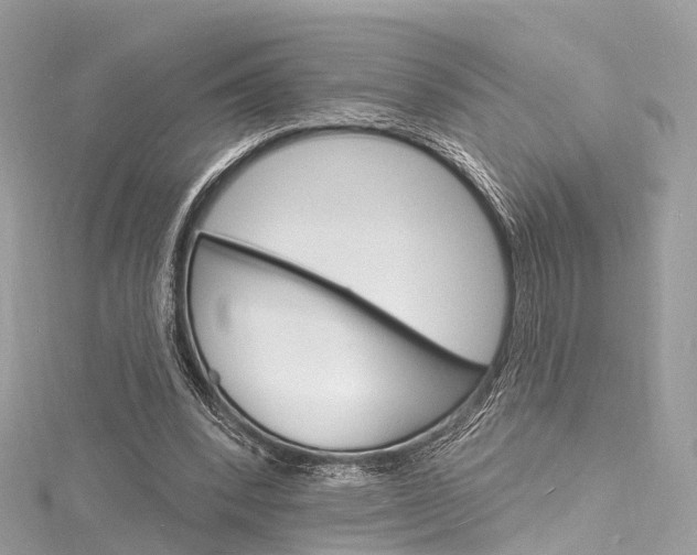 X0000116130392200911230955