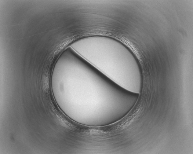 X0000116130393200911230955