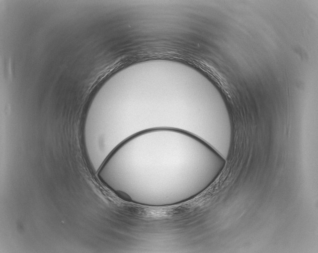 X0000116130405200911230955