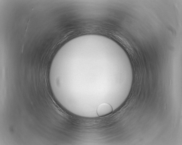 X0000116130409200911230955