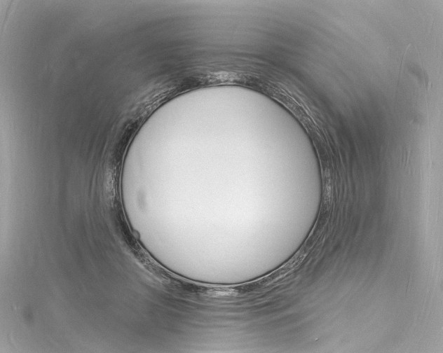 X0000116130410200911230955