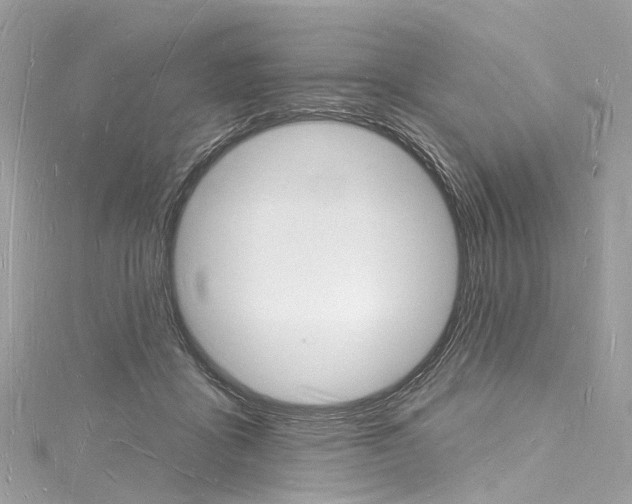 X0000116130411200911230955