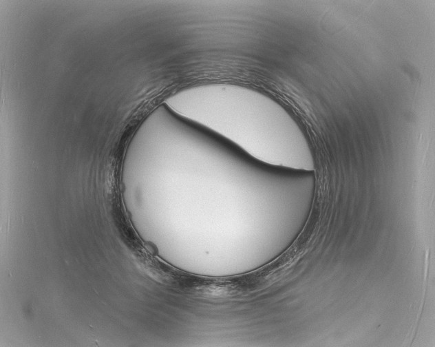 X0000116130412200911230955