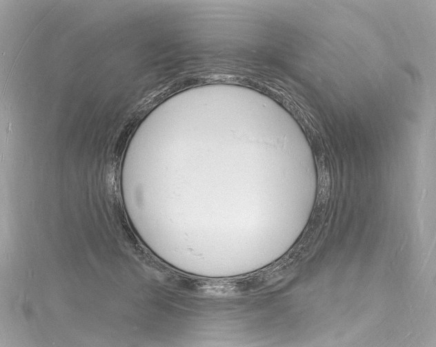 X0000116130415200911230955