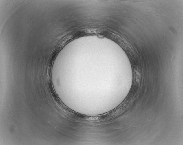 X0000116130422200911230955