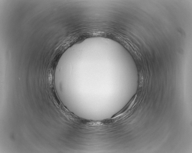 X0000116130427200911230955