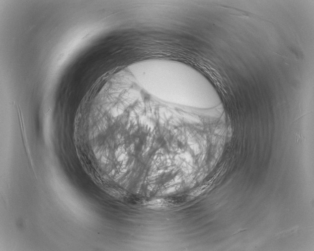 X0000116130430200911230955