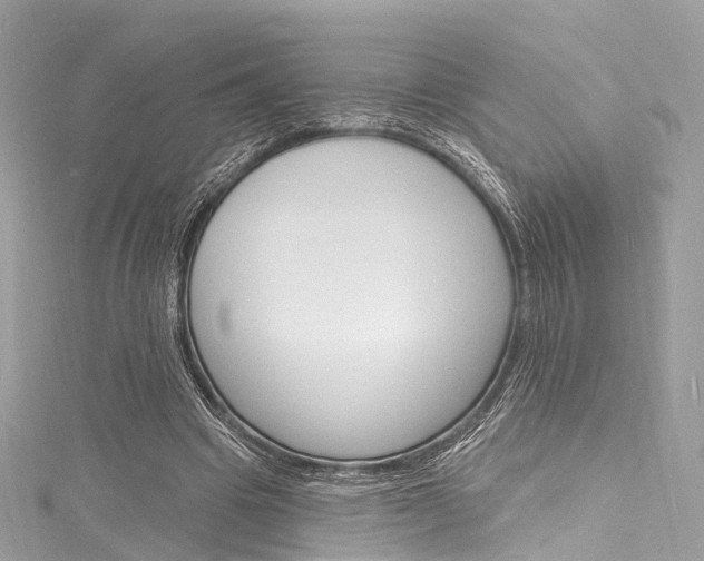 X0000116130441200911230954