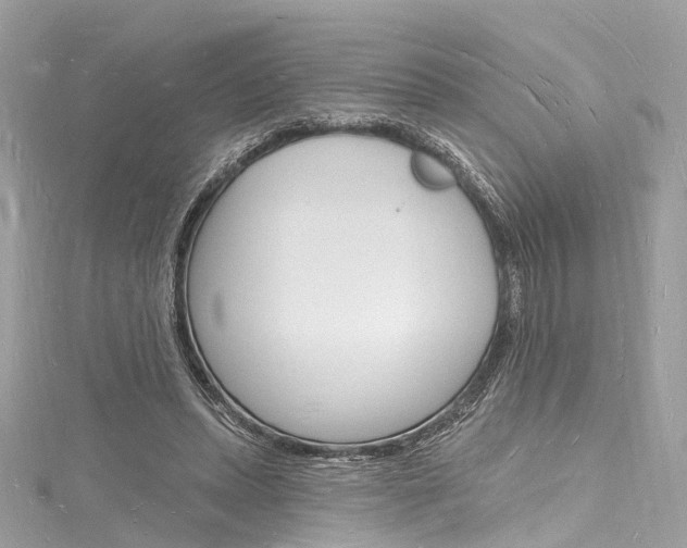 X0000116130447200911230954