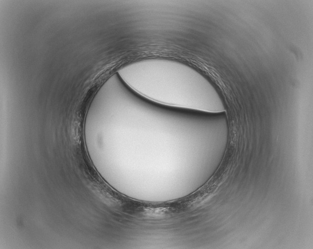 X0000116130450200911230955
