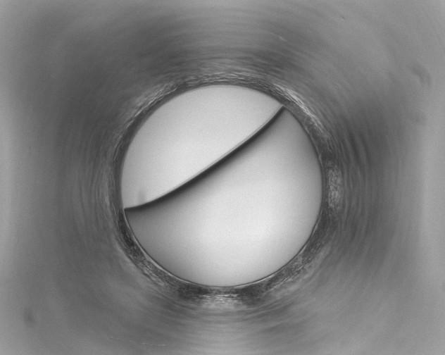X0000116130451200911230955