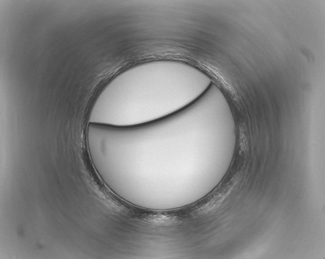 X0000116130453200911230955