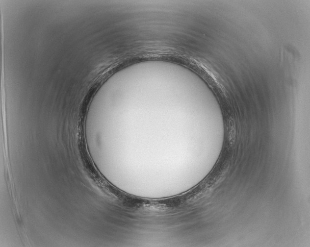 X0000116130455200911230955
