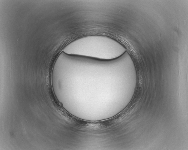 X0000116130457200911230955