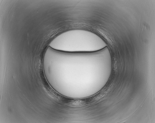 X0000116130459200911230955