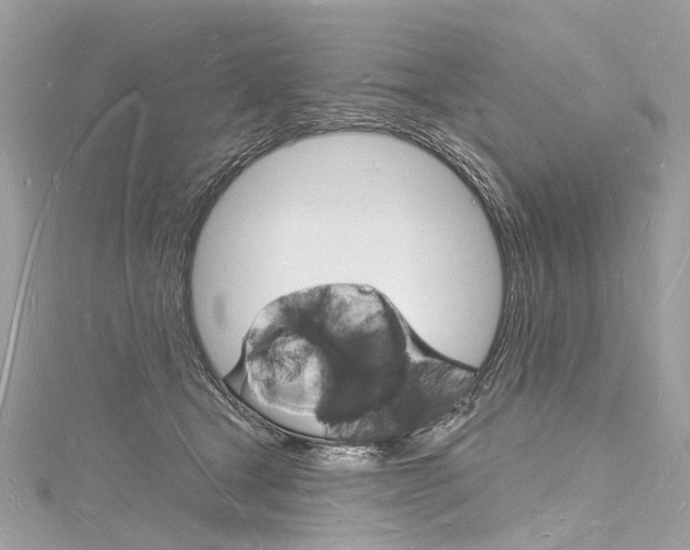 X0000116130465200911230955