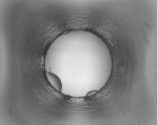 X0000116130480200911230955