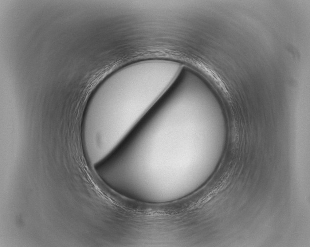 X0000116130481200911230954
