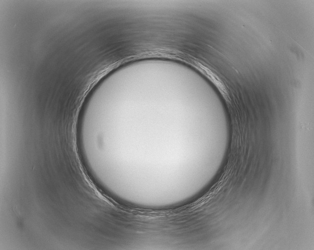 X0000116130485200911230954