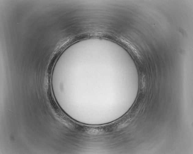 X0000116130494200911230954