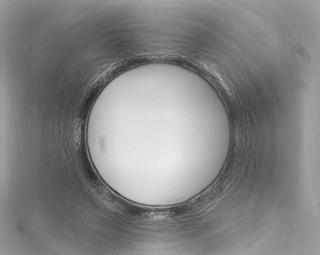X0000116130495200911230954
