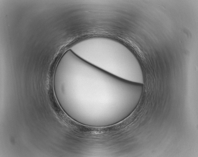 X0000116130496200911230954