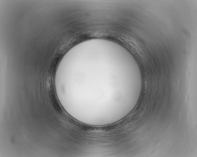 X0000116130503200911230954