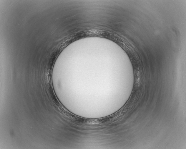 X0000116130514200911230954