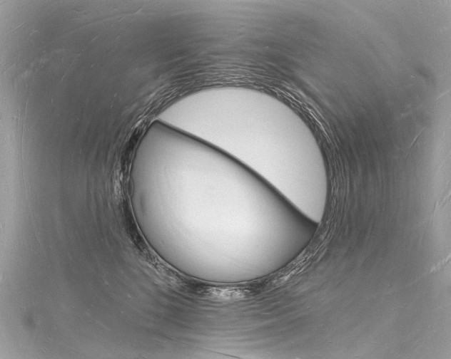 X0000116130520200911230954