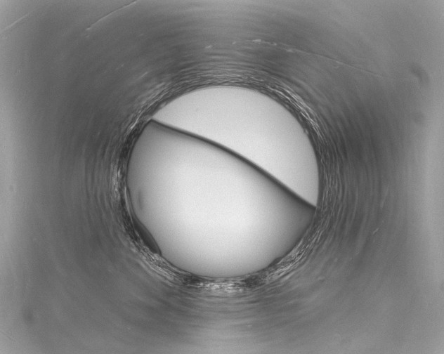 X0000116130524200911230954