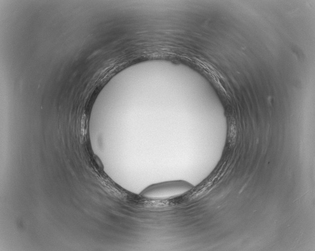 X0000116130525200911230954