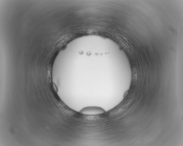 X0000116130527200911230954