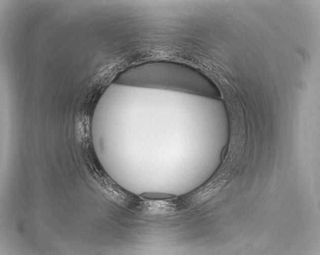 X0000116130528200911230954